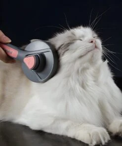 Pakeway T9 - Kattenborstel - Zelfreinigende Kattenkam - Groen - Massageborstel - 19,3 Cm -Honden Huis Winkel 1005x1200