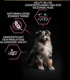 Pro Plan Medium Puppy Sensitive Skin - Honden Droogvoer - Zalm - 12 Kg -Honden Huis Winkel 1048x1200