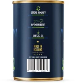 Honden Huis Winkel -Honden Huis Winkel 1099x1200