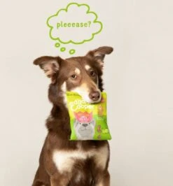 Merkloos Edgard & Cooper Lam & Rund Bites - Voor Honden - Hondensnack - 50g -Honden Huis Winkel 1115x1200 1