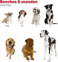 Adori Vetbed Basic - Dierendeken - Grijs - 122 X 75 Cm 5 Adori Vetbed Basic - Dierendeken - Grijs - 122 X 75 Cm -Honden Huis Winkel 1115x1200 2