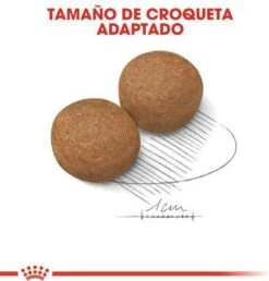 Royal Canin Maxi Adult 5+ Jaar Oud - Hondenvoer - 15 Kg -Honden Huis Winkel 1149x1200 3