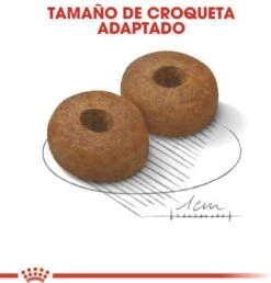 Royal Canin Maxi Ageing 8+ 15 KG -Honden Huis Winkel 1149x1200 5