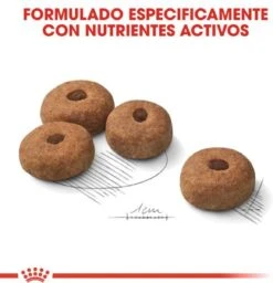 Royal Canin Sterilised Maxi - Hondenvoer - 12 Kg -Honden Huis Winkel 1158x1200 6