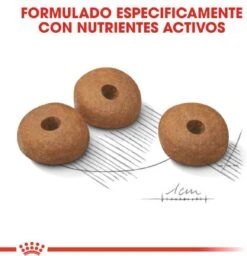 Royal Canin Light Weight Care Medium - Hondenvoer - 12 Kg -Honden Huis Winkel 1158x1200 7