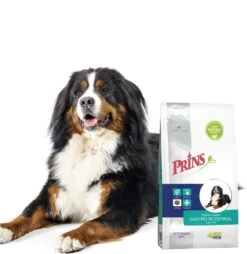Prins Procare Croque Diet Gastro-Intestinal Zalm - Hondenvoer - 10 Kg -Honden Huis Winkel 1167x1200 4