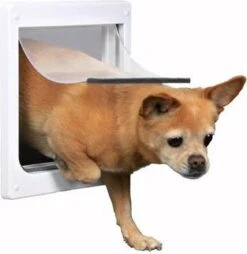 Trixie 2-Weg Hondenluik Wit - M-XL 39 X 45 CM -Honden Huis Winkel 1169x1200 3