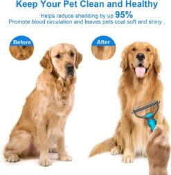 Igoods Professionele 2-Zijdige Ondervacht Kam Voor Hond En Kat - Hondenborstel – Kattenborstel -Honden Huis Winkel 1172x1200 2