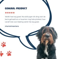 JC Pets Premium Pluizenborstel - Huisdierhaar Verwijderaar – Pluizenverwijderaar – Honden En Kattenhaar Verwijderaar - Ontpluizer - Pluizenroller -Honden Huis Winkel 1183x1200