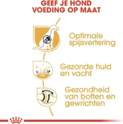 Royal Canin German Shepherd Adult 11 KG -Honden Huis Winkel 1184x1200 1