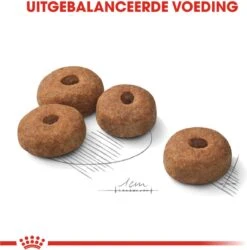 Royal Canin Sterilised Maxi - Hondenvoer - 12 Kg -Honden Huis Winkel 1184x1200 3