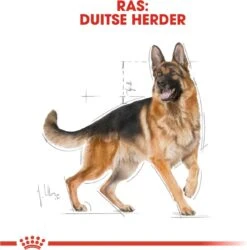 Royal Canin German Shepherd Adult 11 KG -Honden Huis Winkel 1186x1200