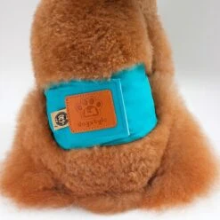 Merkloos Hondenluier Voor Kleine Hond - Luier Voor Reu - Buikband Maat S 27 Cm X 25 Cm -Honden Huis Winkel 1194x1200 3