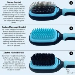Petsify - Dierenborstel - Professionele 5 In 1 Hondenborstel - Voor Hond En Kat - Tweezijdig - Hondenkam - Kattenborstel - Kattenkam -Honden Huis Winkel 1198x1200