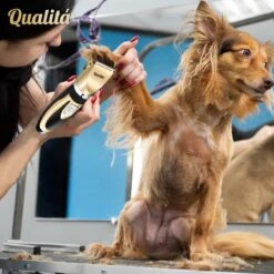 Merkloos Professionele Honden Tondeuse Set - Tondeuse Voor Huisdier Honden En Katten - Hondentrimmer - Hondentondeuse -Honden Huis Winkel 1198x1200 6