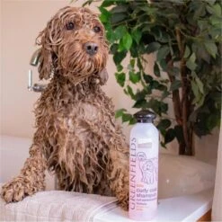 Greenfields Labradoodle Vacht Verzorgingsset - Shampoo En Anti-Klit Spray Voor Langharige Of Krullende Vacht -Honden Huis Winkel 1199x1200 1
