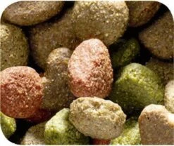 VERSELE-LAGA Happy Life Adult Lam Digestion - Hondenvoer - 15 Kg -Honden Huis Winkel 1200x1010 2