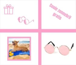 Pepets© – Hondenhanddoek – Honden Handdoek – Microvezel Handdoek – Handdoek Hond – Hondendeken – Droogdoek Hond – Dierendeken – Absorberend – 100*50CM - Beige - GRATIS Zonnebril -Honden Huis Winkel 1200x1018