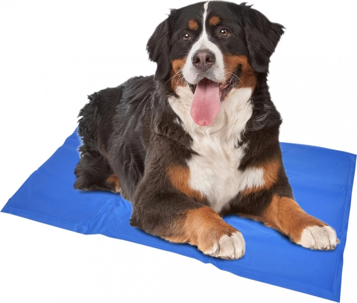 Duvo+ Koelmat - Blauw - XXL 1 Duvo+ Koelmat - Blauw - XXL