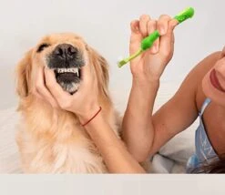 Merkloos Tandenborstel - Voor Huisdieren - Honden - 3 Zijdig - Multi-Hoek - Schoonmaken - Tanden - Slechte Adem - Tandsteen - Tandenborstel - Gezondheid - Blauw -Honden Huis Winkel 1200x1042