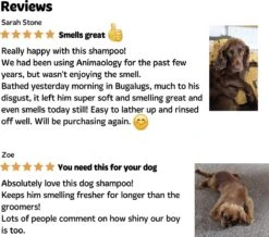 Bugalugs - Hondenshampoo - One In A Million - Alle Vachttypes - Fles Met Pompje - Vegan - 500 Ml -Honden Huis Winkel 1200x1061