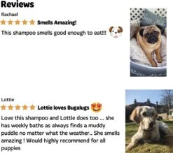 Bugalugs - Hondenshampoo - One In A Million - Alle Vachttypes - Fles Met Pompje - Vegan - 500 Ml -Honden Huis Winkel 1200x1066