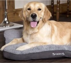 Scruffs Cosy - Comfortabel Hondenkussen In Grijs, Beige Of Karamel - Met Imitatie Suède Buitenvoering En Superzachte Binnenvoering - 100 X 70 Cm - Grijs -Honden Huis Winkel 1200x1080 2