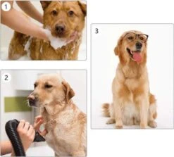 Waterblazer Hond - Hondendroger 11 Waterblazer Hond - Hondendroger -Honden Huis Winkel 1200x1083