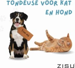 Hondentondeuse - Hondentrimmer - Dieren Tondeuse - Draadloos - 4 Opzetkammen - INCLUSIEF SNACKJE - Zwart -Honden Huis Winkel 1200x1098 2