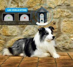 Vulpes Pets® Anti Blaf Apparaat Pro - Anti Blafband Voor Alle Honden - Luxe Hondentrainer - Diervriendelijk & Zonder Schok - Inclusief 9V Batterij - Waterbestendig - Ophangbaar - Instelbare Ultrasone Niveauregeling - 4 Standen 14 Vulpes Pets® Anti Blaf Apparaat Pro - Anti Blafband Voor Alle Honden - Luxe Hondentrainer - Diervriendelijk & Zonder Schok - Inclusief 9V Batterij - Waterbestendig - Ophangbaar - Instelbare Ultrasone Niveauregeling - 4 Standen -Honden Huis Winkel 1200x1102 1