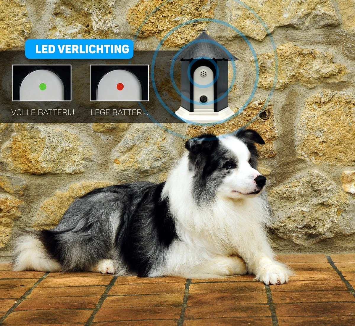 Vulpes Pets® Anti Blaf Apparaat Pro - Anti Blafband Voor Alle Honden - Luxe Hondentrainer - Diervriendelijk & Zonder Schok - Inclusief 9V Batterij - Waterbestendig - Ophangbaar - Instelbare Ultrasone Niveauregeling - 4 Standen 3 Vulpes Pets® Anti Blaf Apparaat Pro - Anti Blafband Voor Alle Honden - Luxe Hondentrainer - Diervriendelijk & Zonder Schok - Inclusief 9V Batterij - Waterbestendig - Ophangbaar - Instelbare Ultrasone Niveauregeling - 4 Standen - Afbeelding 3