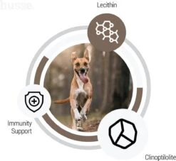 Husse Lam En Rijst - Hypoallergene Hondenbrokken - Hondenvoer - 2 Kg 11 Husse Lam En Rijst - Hypoallergene Hondenbrokken - Hondenvoer - 2 Kg -Honden Huis Winkel 1200x1104 1