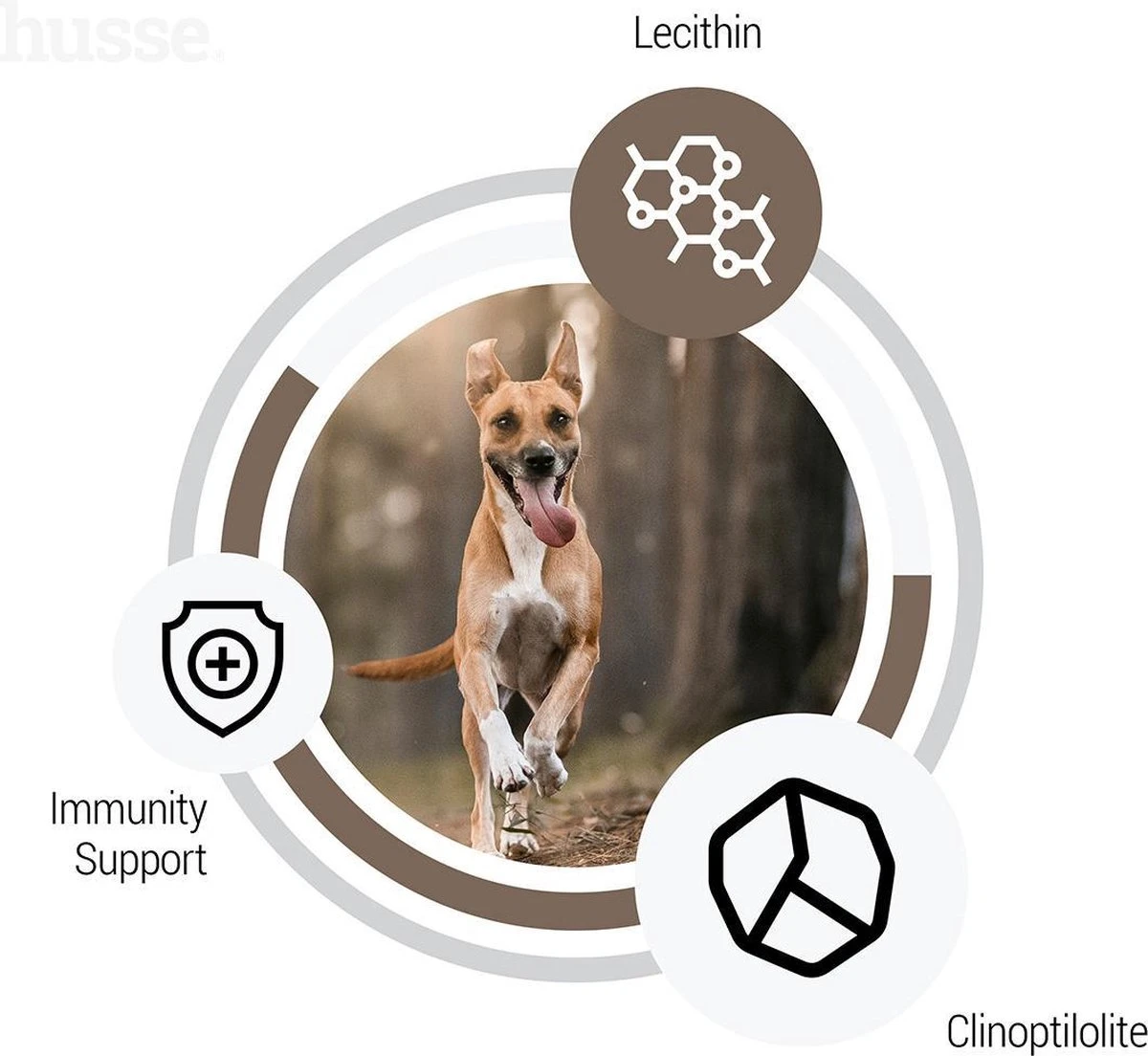 Husse Lam En Rijst - Hypoallergene Hondenbrokken - Hondenvoer - 2 Kg 6 Husse Lam En Rijst - Hypoallergene Hondenbrokken - Hondenvoer - 2 Kg - Afbeelding 6