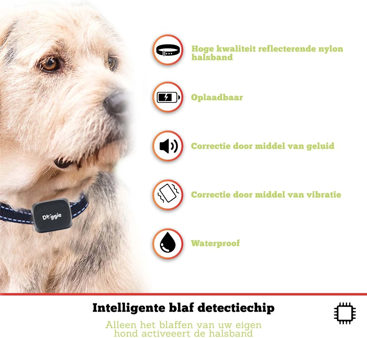 Doggie™ Anti Blafband Voor Kleine Honden - OPLAADBAAR - Vibratie én Geluid 8 Doggie™ Anti Blafband Voor Kleine Honden - OPLAADBAAR - Vibratie én Geluid - Afbeelding 8