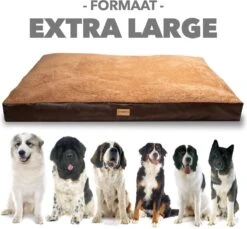 PrimePlus Hondenkussen XL Bruin/Cognac - 120x80x10 CM - Zacht En Luxe Hondenmand - Hondenbed - Hondenmat - Orthopedisch Hondenkussens -Honden Huis Winkel 1200x1112 5