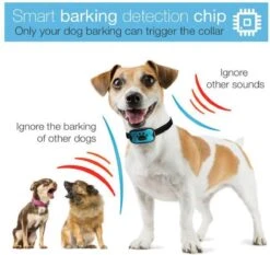 Merkloos Anti Blafband Voor Honden Blafband Anti Blaf Apparaat Blafband Zonder Schok - Diervriendelijk 11 Merkloos Anti Blafband Voor Honden Blafband Anti Blaf Apparaat Blafband Zonder Schok - Diervriendelijk -Honden Huis Winkel 1200x1133 3