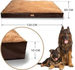 PrimePlus Hondenkussen XL Bruin/Cognac - 120x80x10 CM - Zacht En Luxe Hondenmand - Hondenbed - Hondenmat - Orthopedisch Hondenkussens -Honden Huis Winkel 1200x1134 8