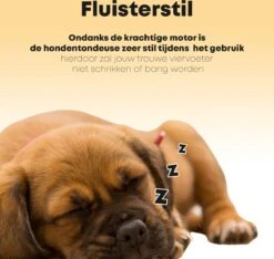 Hondentondeuse Professioneel - 2 In 1 - Honden & Katten - Hondentrimmer - Dikke & Dunne Vacht -Honden Huis Winkel 1200x1136 5