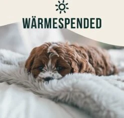 Happilax Fluffy Hondendeken Voor Auto & Bank, Wasbare Hondenmat Voor Op Reis, Grijs, L -Honden Huis Winkel 1200x1139 3