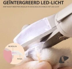 Professionele Oplaadbare LED Licht Nagelknipper, Hond, Kat, Knaagdier, Huisdieren | Dog, Cat, Nail Clipper LED Light, Rechargeable, USB Kabel | Nagelvijl - Nagelschaar Met Vijl, Opvang Van Nagels | Vergrootglas 5x | Extreem Veilig & 100% Effectief -Honden Huis Winkel 1200x1143 1