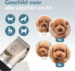 BYER Professionele Dieren Tondeuse Set - Voor Huisdieren Katten & Honden - Draadloos - Oplaadbare Pet Trimmer - Dog Tondeuze Clipper - 5 Standen & Vier Opzetkammen - Low Noise -Honden Huis Winkel 1200x1144 2