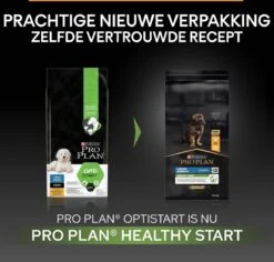 Pro Plan Healthy Start Puppy Large Robust - Honden Droogvoer - Kip - 12 Kg -Honden Huis Winkel 1200x1145 7
