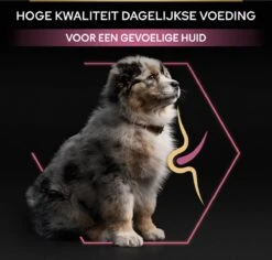 Pro Plan Medium Puppy Sensitive Skin - Honden Droogvoer - Zalm - 12 Kg -Honden Huis Winkel 1200x1146 11