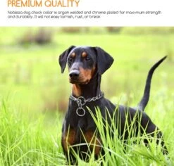 Nobleza Slipketting Hond - Sliphalsband - Trainingshalsband - Hondenketting - Maat L 8 Nobleza Slipketting Hond - Sliphalsband - Trainingshalsband - Hondenketting - Maat L -Honden Huis Winkel 1200x1146 5