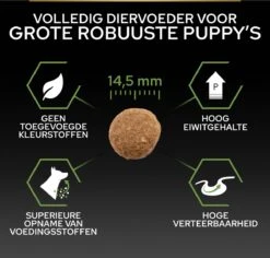 Pro Plan Healthy Start Puppy Large Robust - Honden Droogvoer - Kip - 12 Kg -Honden Huis Winkel 1200x1146 6