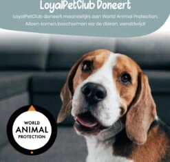 Loyalpetclub® Professionele 2-in-1 Hondentondeuse Voor Dikke Vacht – Draadloze Honden Tondeuse & Hondentrimmer – Stille Tondeuse Katten & Honden Trimset - Inclusief Opbergtasje -Honden Huis Winkel 1200x1148 2