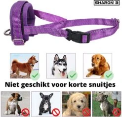 Sharon B Muilkorf Paars Maat M - Fleece - Wasbaar - Reflecterend -Honden Huis Winkel 1200x1149 3