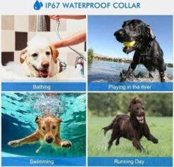 Anti Blafband EN Trainingshalsband In 1 - UNIEK SYSTEEM - 1000m Bereik - 100 Levels 21 Anti Blafband EN Trainingshalsband In 1 - UNIEK SYSTEEM - 1000m Bereik - 100 Levels -Honden Huis Winkel 1200x1154 1