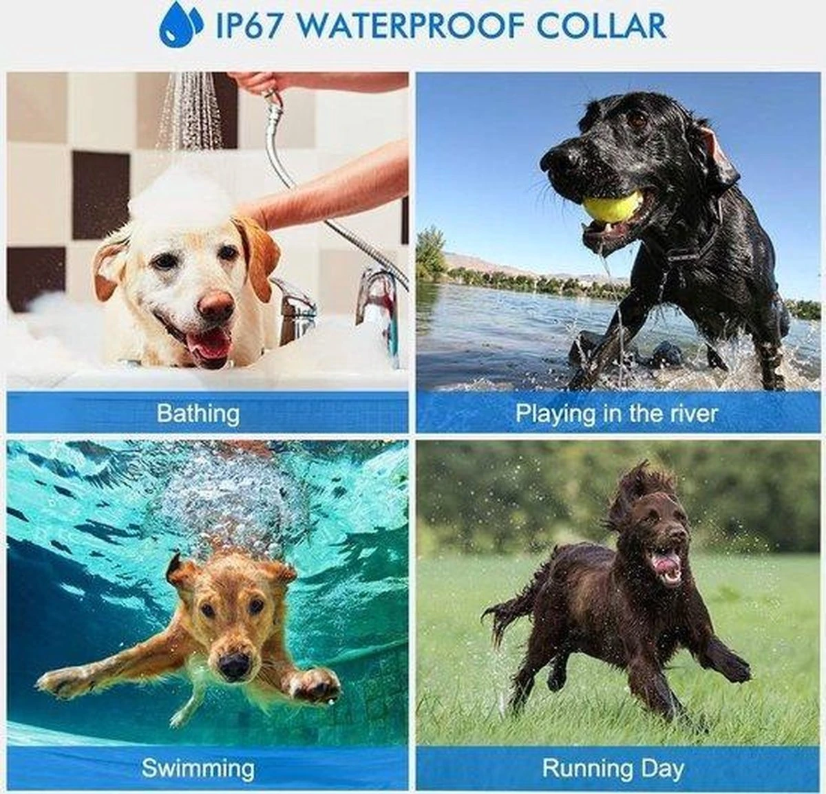 Anti Blafband EN Trainingshalsband In 1 - UNIEK SYSTEEM - 1000m Bereik - 100 Levels 11 Anti Blafband EN Trainingshalsband In 1 - UNIEK SYSTEEM - 1000m Bereik - 100 Levels - Afbeelding 11