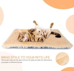 Nobleza Fluffy Benchkussen - Dierenkussen - Hondenkussen - Kattenkussen - Benchmat - Dierenmat - Hondenmat - Kattenmat - Crème - Maat L 16 Nobleza Fluffy Benchkussen - Dierenkussen - Hondenkussen - Kattenkussen - Benchmat - Dierenmat - Hondenmat - Kattenmat - Crème - Maat L -Honden Huis Winkel 1200x1156 3